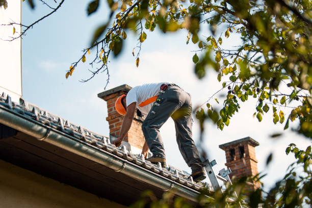 Emergency Roof Repair in Mcleansboro, IL